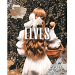 ~ elves ~