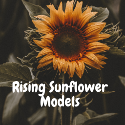 * ~ Rising Sunflower Equestrian's Models! ~ *