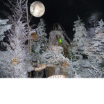 Christmas Wonder!!!