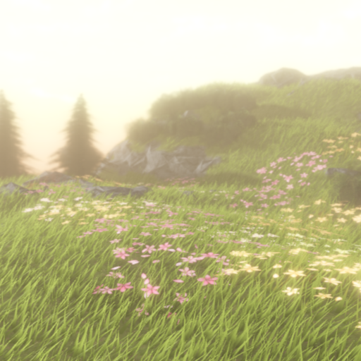 Sunset Scenery