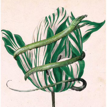 Life in a Medieval City 3