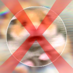A Nation Against Fat Hamsters