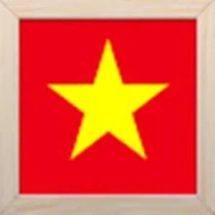 Việt Nam số một Roblox group icon