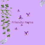 Friendly_Ferns
