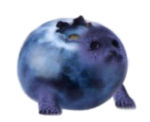 Jacob the Hedgehog's fan group