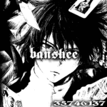 Bansheeㄨ