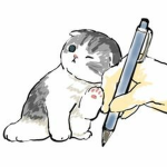 可愛い猫の部屋