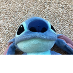 Stitch club for stich fans