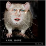 The ugly rat group LOL