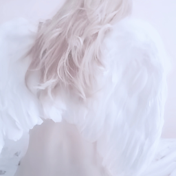 ˚ ‧꒰ ʚ♡ɞ ꒱‧ ˚