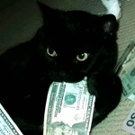 .cat mafia.