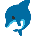 DOLPHIN GANG!!!