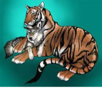 Wolf's and Tigers forever :3