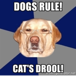 Dogs rule cats drool because cats are lazy