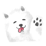 SophiaTheDJ