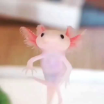 Ocean’s Axolotl army