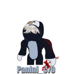 Panini070Group