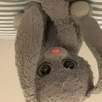 Srg bunny