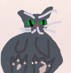 steff's clothing