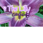 The Lily Café