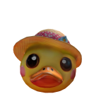 Summer Duck