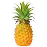 Pineapple Playz
