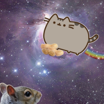 the pusheen community