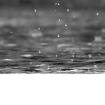 Raindrop’s•