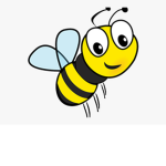 Wasps games
