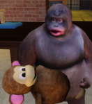 monkee hangout