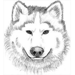 WingedWolf Warriors