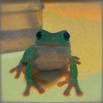 - LOVELY FROGGSS -