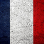 The French Ground Forces Army