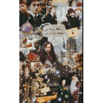 *-Harry Potter Fans-*