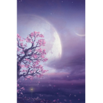 l Soft Moons l