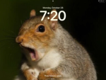 Squirrel7