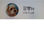 채빈 그룹