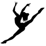 High quality dance and gymnastics