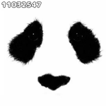 +*Panda Group*+
