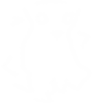 Constellation Bingus