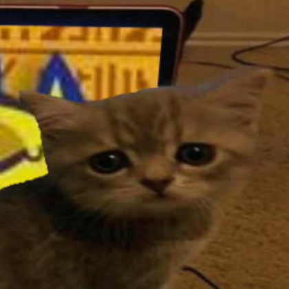 funny cat Roblox decal