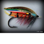 fancy fly group