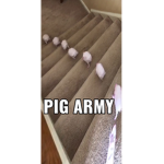Estrella Pig Army - OINK