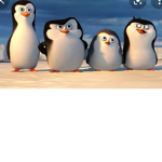 I PINGUINI DI VALEH