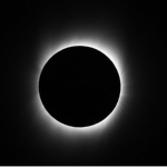 Warrior Cats: Eclipse Clan