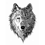 The Galactic Wolfs