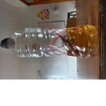 Lentejus