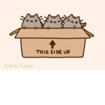 Cult For Boxes