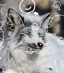 ROCKYANDMOON
