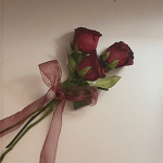 Rose & Ribbons